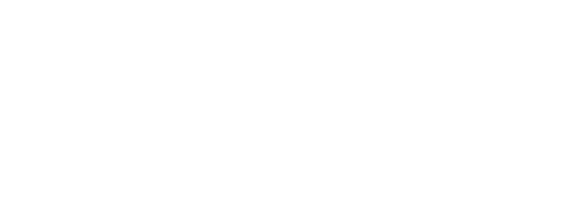 Authentic House